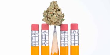 Michigan K-12 Students Could Use Medical Pot on School Grounds Under New Bill