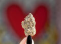 New Jersey Cannabis Funds Used for Hospital-Based Intervention Services
