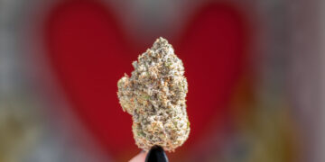 New Jersey Cannabis Funds Used for Hospital-Based Intervention Services