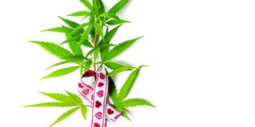 Cannabis Companies, Breast Cancer Organizations Join Forces for Breast Cancer Awareness