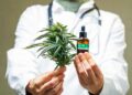 Survey: 65% Willing To Use Cannabis Under Guidance of Clinician