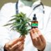Survey: 65% Willing To Use Cannabis Under Guidance of Clinician