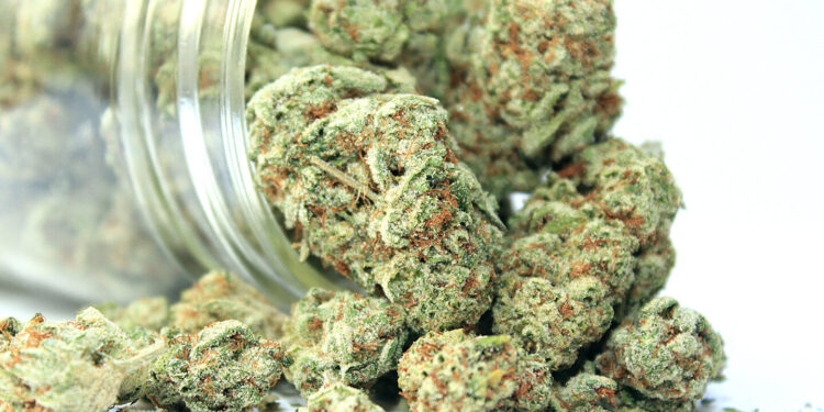 Harlem’s First Dispensary Opens to Customers