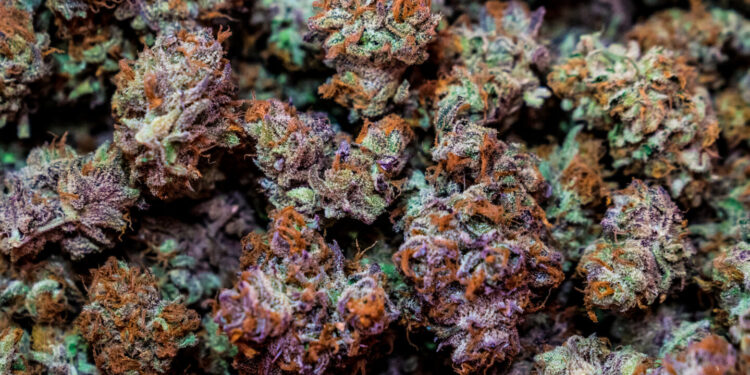 New York Judge Approves Two Cannabis Retailers To Open