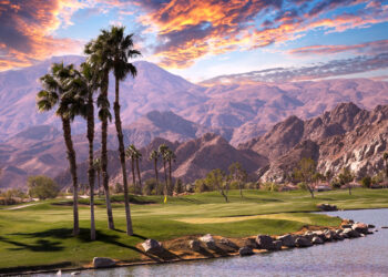 Palm Springs Puts Temporary Hold on New Cannabis Licenses