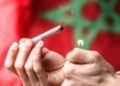 Morocco Officials Appoint New Leader of Cannabis Agency