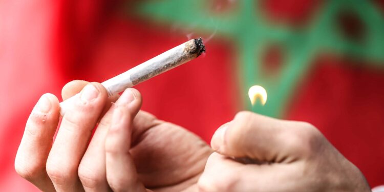 Morocco Officials Appoint New Leader of Cannabis Agency