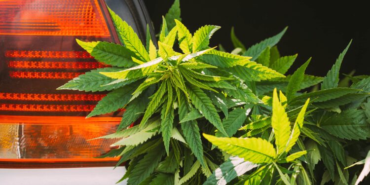 Traffic Fatalities Dropped in States With Legal Weed, Report Shows