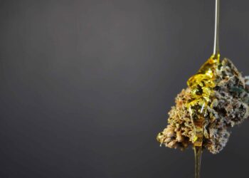 Pharmacies in Georgia Begin Medical Cannabis Oil Sales