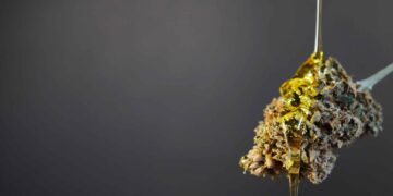 Pharmacies in Georgia Begin Medical Cannabis Oil Sales