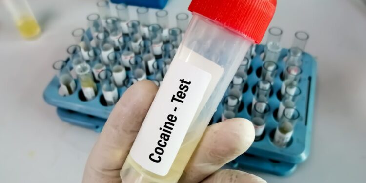 Florida Sheriff’s Office Stops Using Cocaine Test Kit Due to Concerns of False Positive Results