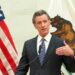 Gov. Newsom Signs Bill Allowing MDMA, Psilocybin Prescriptions If/When Feds Reschedule