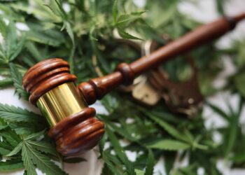 Lawsuit Aims To Block Cops From Smoking Pot in New Jersey