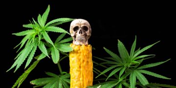 New Research Paper Showcases History of Cannabis Use, Including Necromancy
