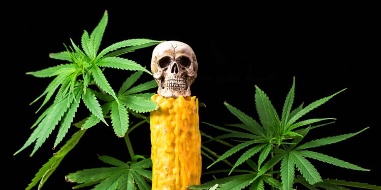 New Research Paper Showcases History of Cannabis Use, Including Necromancy