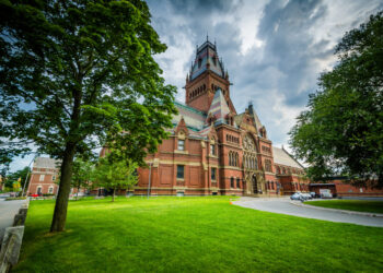 Former Tesla Employee Funds Multi-Million Dollar Harvard Psychedelic Program