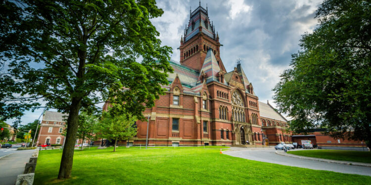 Former Tesla Employee Funds Multi-Million Dollar Harvard Psychedelic Program