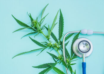 Georgia Department of Health Reports Discovery of Inflated Cannabis Patient Number