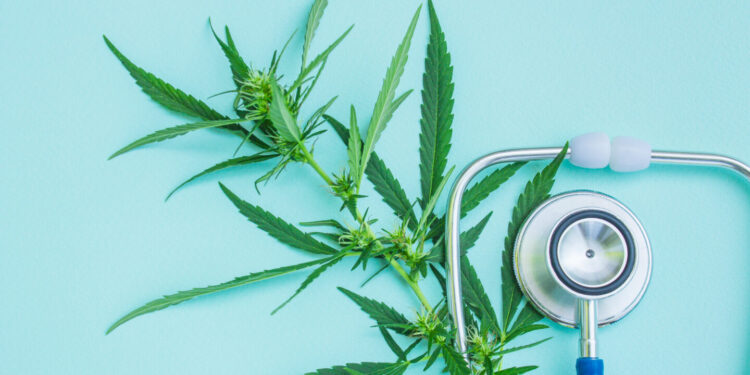 Georgia Department of Health Reports Discovery of Inflated Cannabis Patient Number