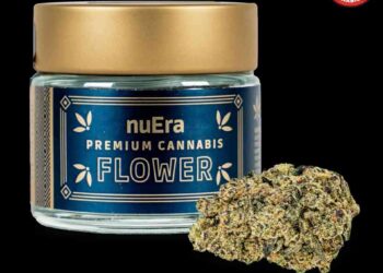 The Winners of the High Times Cannabis Cup Illinois: People’s Choice Edition 2023