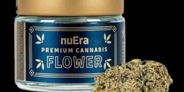 The Winners of the High Times Cannabis Cup Illinois: People’s Choice Edition 2023