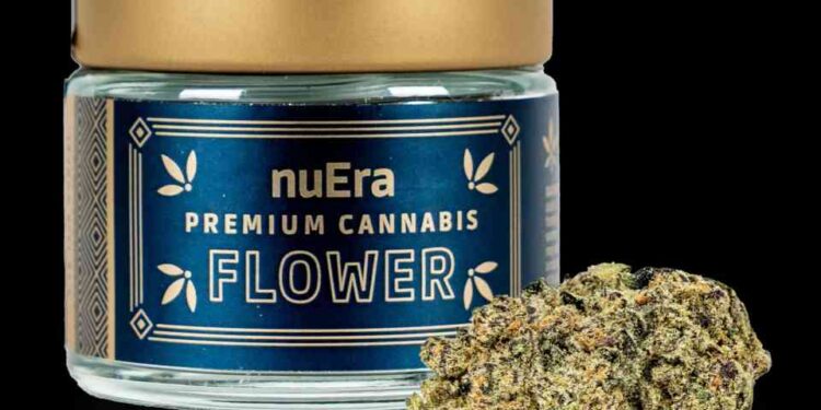 The Winners of the High Times Cannabis Cup Illinois: People’s Choice Edition 2023