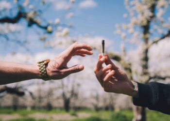 Smoker Sesh App Wins Cannabis Start-Up Competition at Boston University