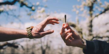 Smoker Sesh App Wins Cannabis Start-Up Competition at Boston University