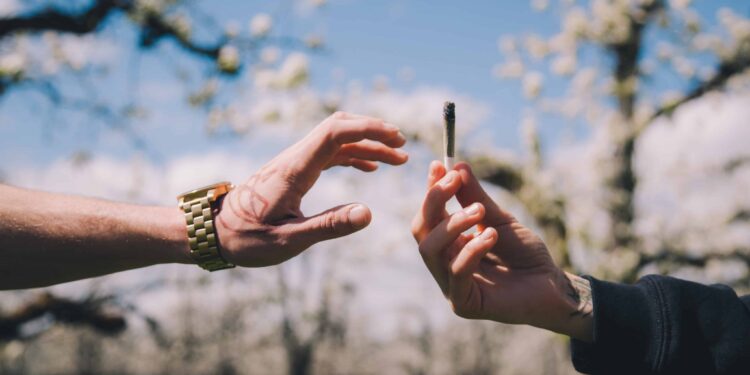 Smoker Sesh App Wins Cannabis Start-Up Competition at Boston University