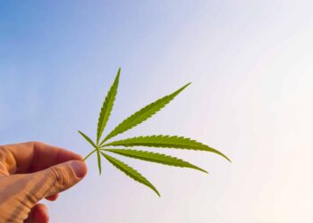 New Report on Cannabis M&A’s Highlights Industry-Wide Changes