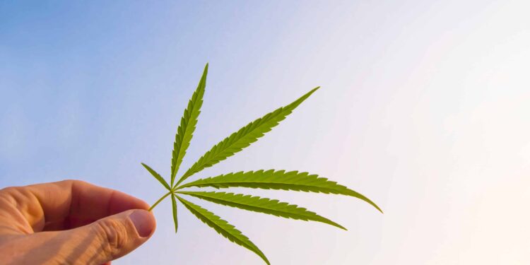 New Report on Cannabis M&A’s Highlights Industry-Wide Changes