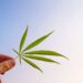 New Report on Cannabis M&A’s Highlights Industry-Wide Changes