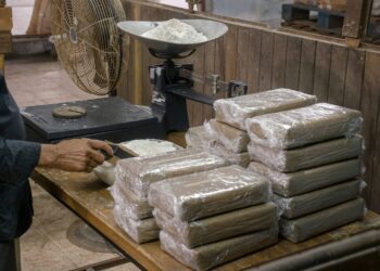 Gallup Poll Reveals Record High American Pessimism Over U.S. Handling of Illegal Drug Crisis