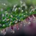 New Hampshire Cannabis Commission Fails To Reach Agreement on Legalization Plan