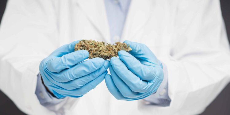 Report: 90% of Virginia Med Patients Obtain Weed Outside of State’s Medical Market