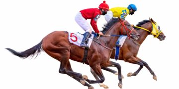 Horse Tests Positive for Cocaine, Meth, Ketamine After Winning Race