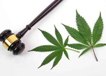 Two Men Sentenced to 16 Years in Prison for Fatal Cannabis Robbery in Oakland