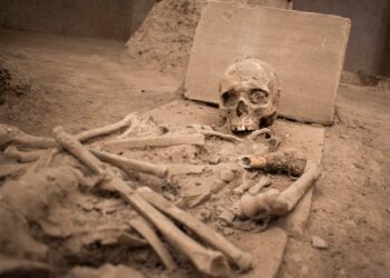 Scientists Find Weed Traces in 17th Century Italian Skeletons