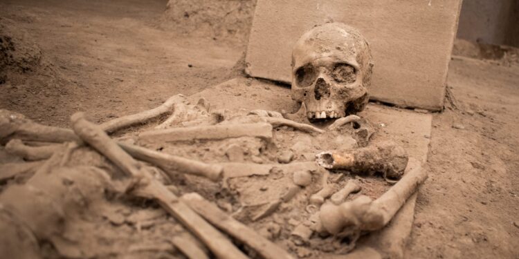 Scientists Find Weed Traces in 17th Century Italian Skeletons