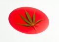 Japanese Hemp Cultivators Working To Revitalize Hemp Industry