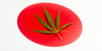 Japanese Hemp Cultivators Working To Revitalize Hemp Industry