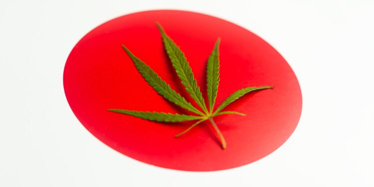 Japanese Hemp Cultivators Working To Revitalize Hemp Industry