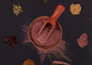 Kentucky Considers Funding Ibogaine Research as Possible Treatment for Opiate Addiction