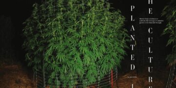 Planted in the Culture