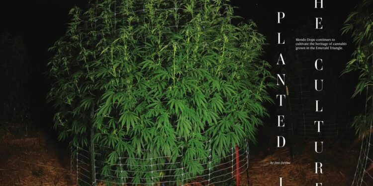 Planted in the Culture