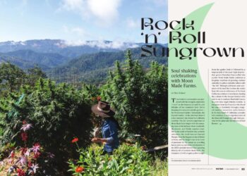 Rock ‘n’ Roll Sungrown