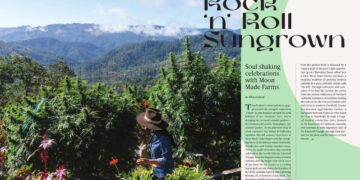 Rock ‘n’ Roll Sungrown