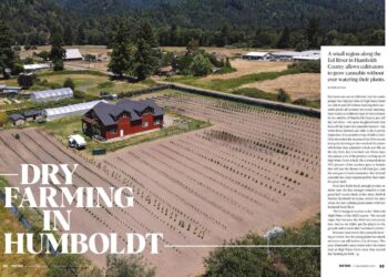 Dry Farming in Humboldt