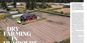 Dry Farming in Humboldt