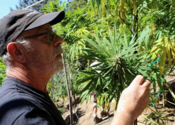 Putting Anderson Valley on the Map